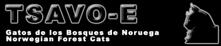 Banner Tsavo